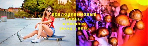 кокс Алексин