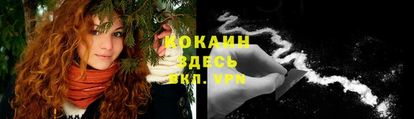 кокс Алексин