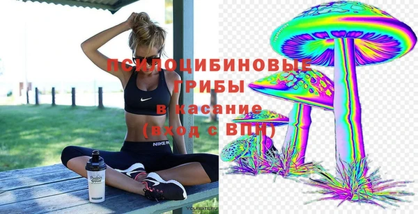 кокс Алексин