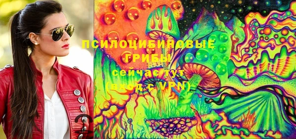 кокс Алексин