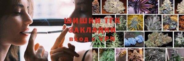 шишки Алзамай