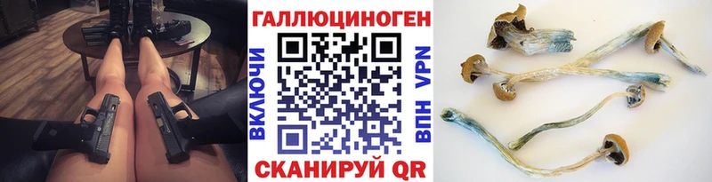Галлюциногенные грибы Cubensis  что такое   Чаплыгин 
